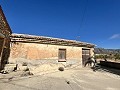 Proyecto de renovación de bodega con características originales in Alicante Dream Homes Castalla 