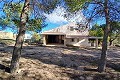 Nice Off grid 6 Bed 1 Bath country property with pool and large plot in Caudete in Alicante Dream Homes Castalla 