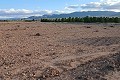Building plot in Yecla. in Alicante Dream Homes Castalla 