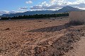 Building plot in Yecla. in Alicante Dream Homes Castalla 