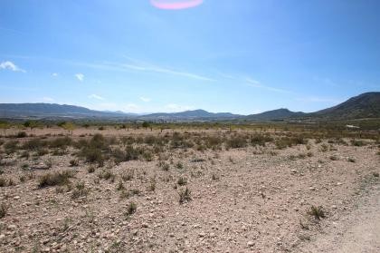 Land in Torre del Rico