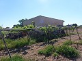 Aspe, plot for sale! - Building Plots for sale in Aspe, Alicante | Alicante, Aspe in Alicante Dream Homes Castalla 