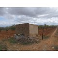Plot in Raspay in Alicante Dream Homes Castalla 