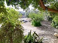 Lovely Villa in Ricabacica, Abanilla + olive grove in Partidor in Alicante Dream Homes Castalla 