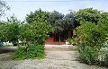 Lovely Villa in Ricabacica, Abanilla + olive grove in Partidor in Alicante Dream Homes Castalla 