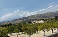 Große Geschäftsmöglichkeit mit diesem 6-Bett-B & B in Alicante in Alicante Dream Homes Castalla 