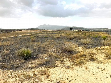 Terreno, en Venta en Torre del Rico
