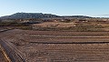 Building plots close to town, in Pinoso in Alicante Dream Homes Castalla 