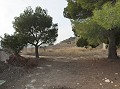 Cute Cave House To Renovate in Alicante Dream Homes Castalla 