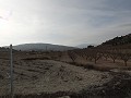 Cute Cave House To Renovate in Alicante Dream Homes Castalla 