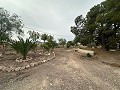 2 landhuizen in Novada in Alicante Dream Homes Castalla 