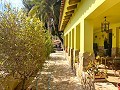 Villa with 3 Beds & 2 Bathrooms Walk to town in Novelda in Alicante Dream Homes Castalla 