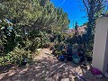 Spacious country house with 8 rooms to renovate in Yecla in Alicante Dream Homes Castalla 