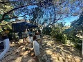 Spacious country house with 8 rooms to renovate in Yecla in Alicante Dream Homes Castalla 