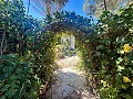 Spacious country house with 8 rooms to renovate in Yecla in Alicante Dream Homes Castalla 