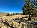 Spacious country house with 8 rooms to renovate in Yecla in Alicante Dream Homes Castalla 