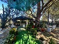 Spacious country house with 8 rooms to renovate in Yecla in Alicante Dream Homes Castalla 