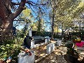 Spacious country house with 8 rooms to renovate in Yecla in Alicante Dream Homes Castalla 