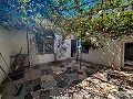 Spacious country house with 8 rooms to renovate in Yecla in Alicante Dream Homes Castalla 