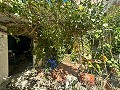 Spacious country house with 8 rooms to renovate in Yecla in Alicante Dream Homes Castalla 