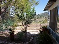 Partially Reformed 4 Bed 1 Bath Country House in Alicante Dream Homes Castalla 
