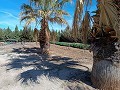 Große Villa mit 4 Schlafzimmern und 2 Bädern ganz in der Nähe von Yecla in Alicante Dream Homes Castalla 