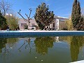 Große Villa mit 4 Schlafzimmern und 2 Bädern ganz in der Nähe von Yecla in Alicante Dream Homes Castalla 