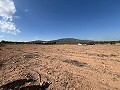 Large Parcel of Land with Olive Trees in Alicante Dream Homes Castalla 