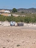 Solar edificable cerca de Úbeda in Alicante Dream Homes Castalla 