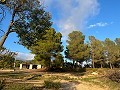 Grande maison de campagne in Alicante Dream Homes Castalla 