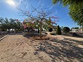 Stunning Mansion with Private Swimming Pool,Sports Court and Barbecue Area in Alicante Dream Homes Castalla 