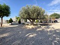 Stunning Mansion with Private Swimming Pool,Sports Court and Barbecue Area in Alicante Dream Homes Castalla 