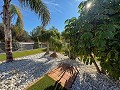 Stunning Mansion with Private Swimming Pool,Sports Court and Barbecue Area in Alicante Dream Homes Castalla 