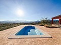 Charmante Villa mit 4 Schlafzimmern und atemberaubendem Panoramablick in Alicante Dream Homes Castalla 