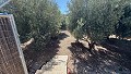Mooie traditionele villa met 6 slaapkamers in Albatera in Alicante Dream Homes Castalla 