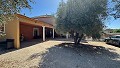 Mooie traditionele villa met 6 slaapkamers in Albatera in Alicante Dream Homes Castalla 